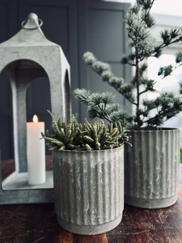 Kräutertöpfe im grünen Beton-Look - Set aus 2 Stk
