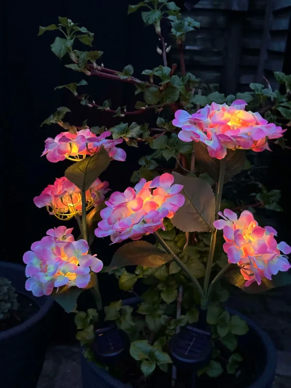 Hortensie mit Solarzellen – Hellrosa