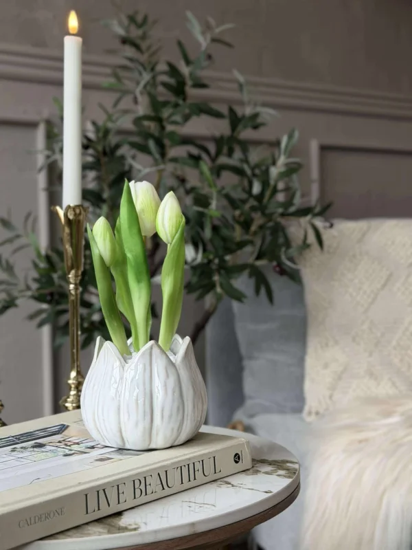 Tulpe im Topf - Weiß med 3 Blüten