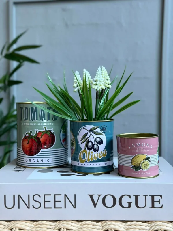 Dosen mit italienischem Print - Set mit 3 Stück