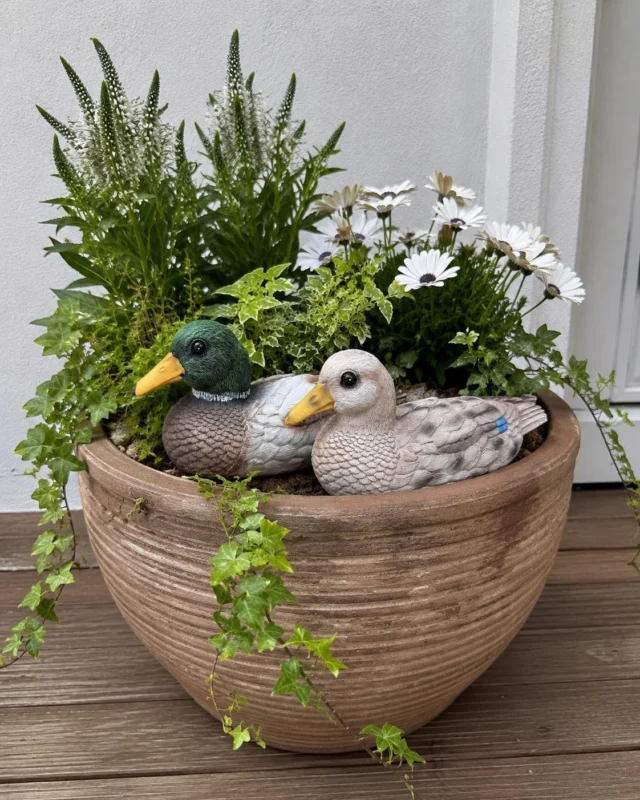 Schwimmende Ente für Gartendekoration - Mix