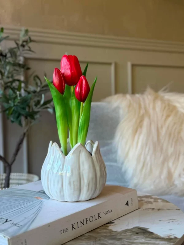 Tulpe im Topf - Rot mit 3 Blüten