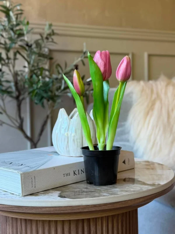 Tulpe im Topf - Dunkelrosa mit 3 Blüten