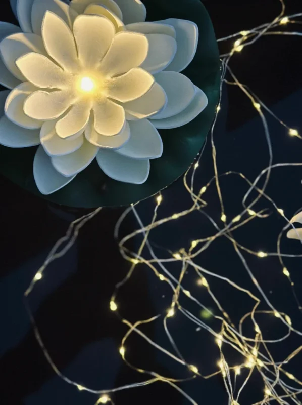 Lichterkette Marly mit Solar - 100 Lichter