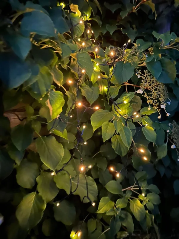 Lyskæde med solceller - Ekstra kraftig med 400 led lys - VIAMAJA.DK
